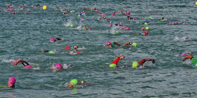 Participants nageant lors de la course Re SwimRun à l'Île de Ré.