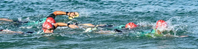 Athlètes en train de nager lors de la compétition Ré Swim Run.