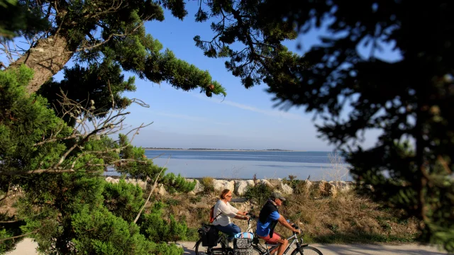 Un couple à vélo sur une piste entourée de verdure à La Couarde.