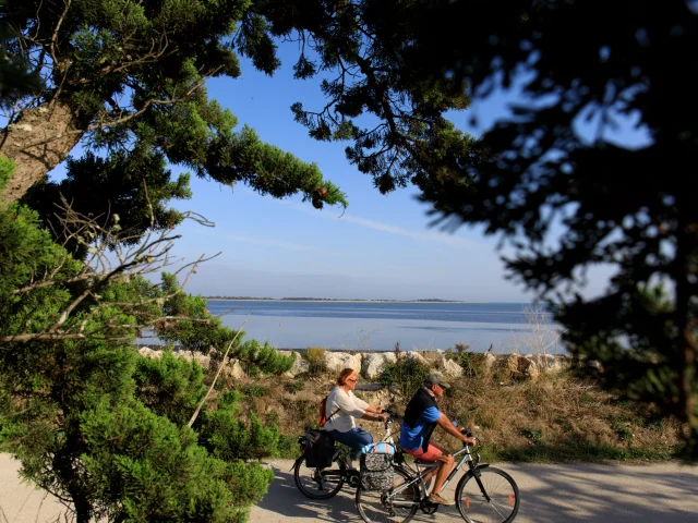 Un couple à vélo sur une piste entourée de verdure à La Couarde.