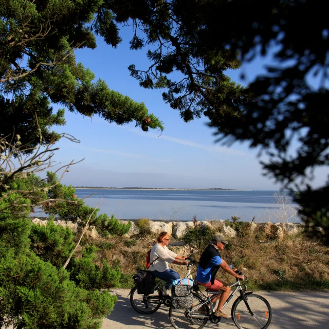 Un couple à vélo sur une piste entourée de verdure à La Couarde.