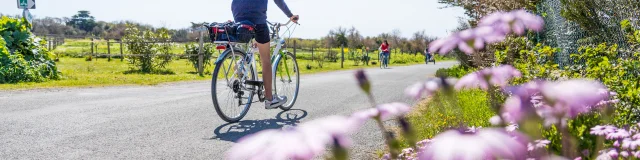 Personnes faisant du vélo sur une route de campagne avec des fleurs en avant-plan.