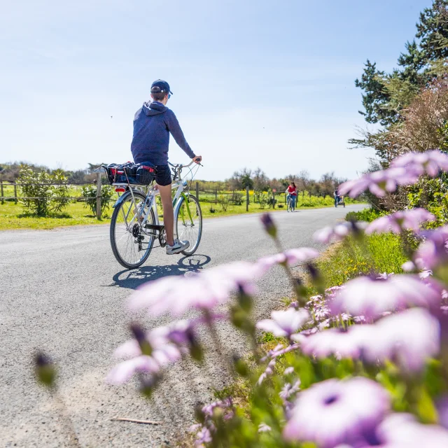 Personnes faisant du vélo sur une route de campagne avec des fleurs en avant-plan.