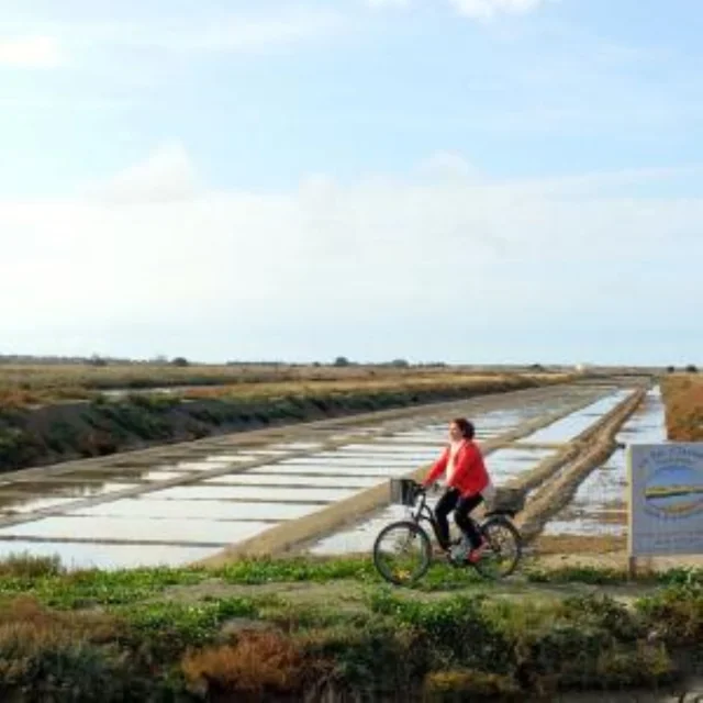 Un cycliste roule sur une piste près des marais salants.