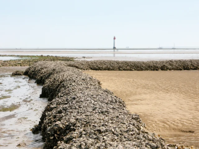 Mur d'écluse à poissons en pierre avec le phare de Chauveau en arrière-plan.