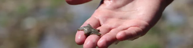 Un écogarde tenant une étoile de mer dans sa main.