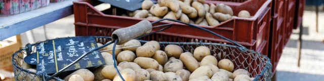 Des pommes de terre exposées sur un étal de marché, prêtes à être vendues.