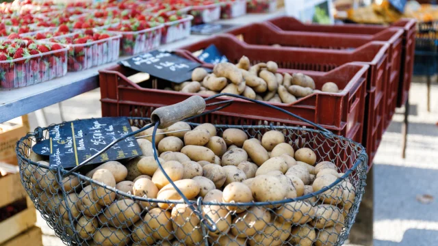 Des pommes de terre exposées sur un étal de marché, prêtes à être vendues.