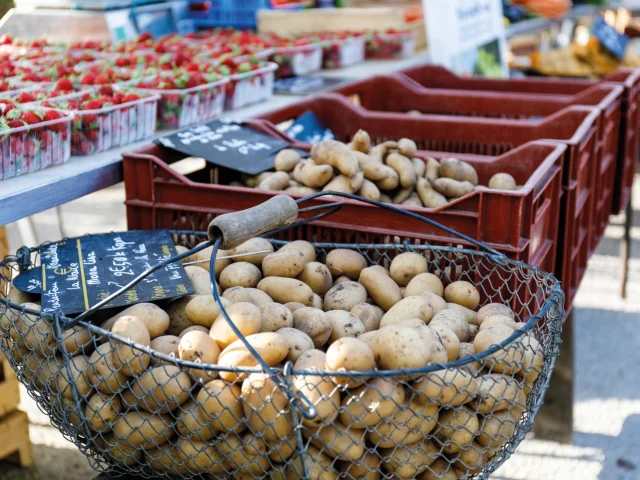 Des pommes de terre exposées sur un étal de marché, prêtes à être vendues.