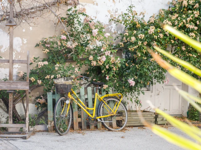 Façade fleurie avec un vélo jaune appuyé contre le mur.