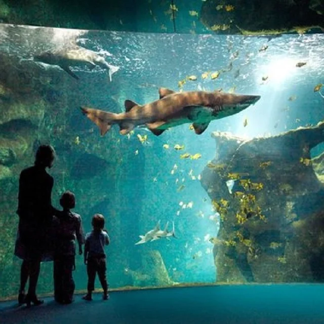 Une famille observe des requins dans un aquarium éclairé.