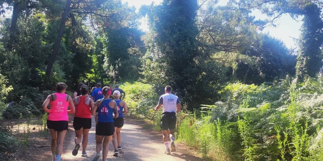 Groupe de coureurs sur un chemin forestier à Sainte-Marie-de-Ré.