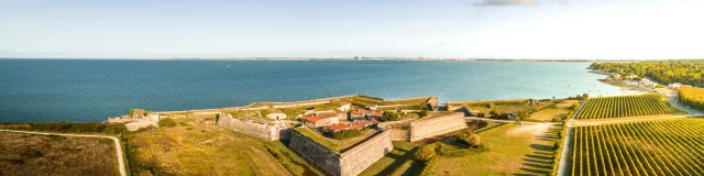 Vue aérienne du fort La Prée à La Flotte