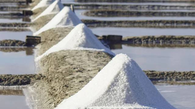 Marais salants avec des tas de sel alignés.