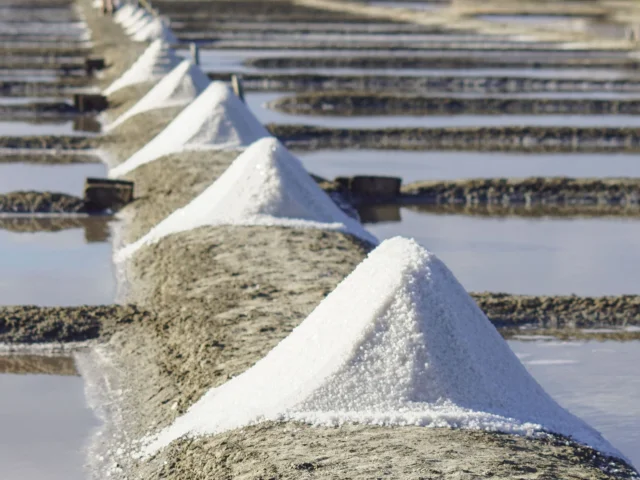 Marais salants avec des tas de sel alignés.