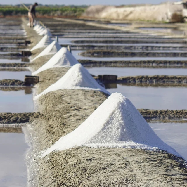 Marais salants avec des tas de sel alignés.