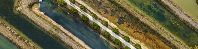 Vue aérienne des marais salants d'Ars-en-Ré