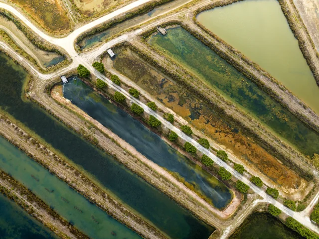 Vue aérienne des marais salants d'Ars-en-Ré