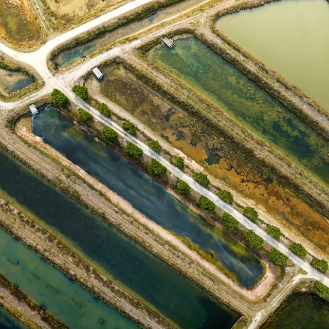 Vue aérienne des marais salants d'Ars-en-Ré