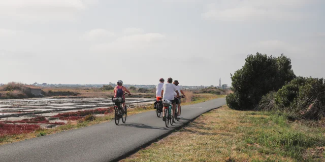 Cyclistes pédalant le long des marais salants.