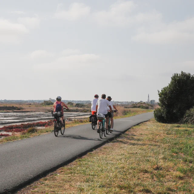 Cyclistes pédalant le long des marais salants.