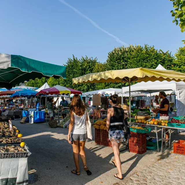 Marche Sainte Marie Ile De Re Mathieu Genon