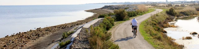 Piste cyclable avec vue sur la mer entre Saint-Martin-de-Ré et La Couarde.