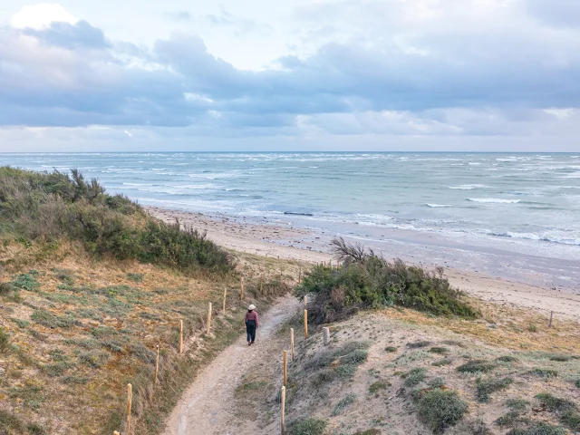 Vue aérienne d'un sentier menant à la plage avec des vagues sous un ciel nuageux.