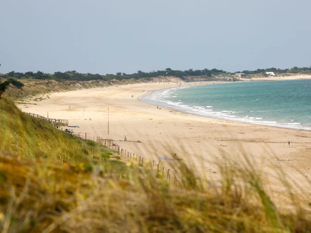 Plage Du Petit Bec Portes Ile De Re Mathieu Genon