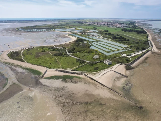 Vue aérienne de la pointe du Grouin à Loix.