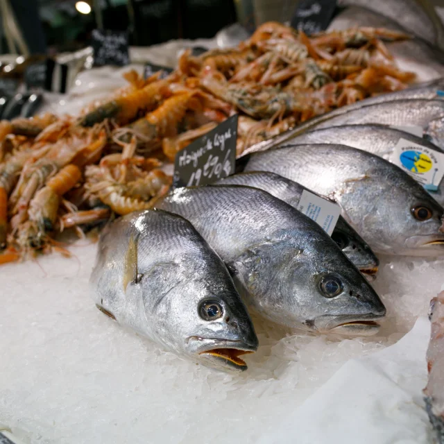 Fisch Und Garnelen Marche Saint Martin Ile De Re Mathieu Genon