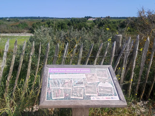 Panneau explicatif du sentier des 5 paysages à Sainte-Marie-de-Ré