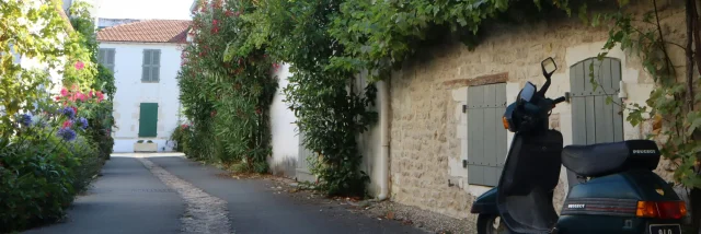 Rue avec maison en pierre, végétation et un scooter Peugeot garé.