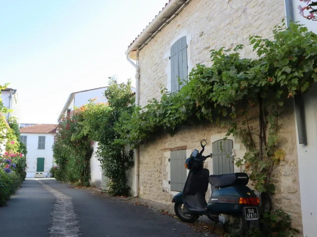 Rue avec maison en pierre, végétation et un scooter Peugeot garé.