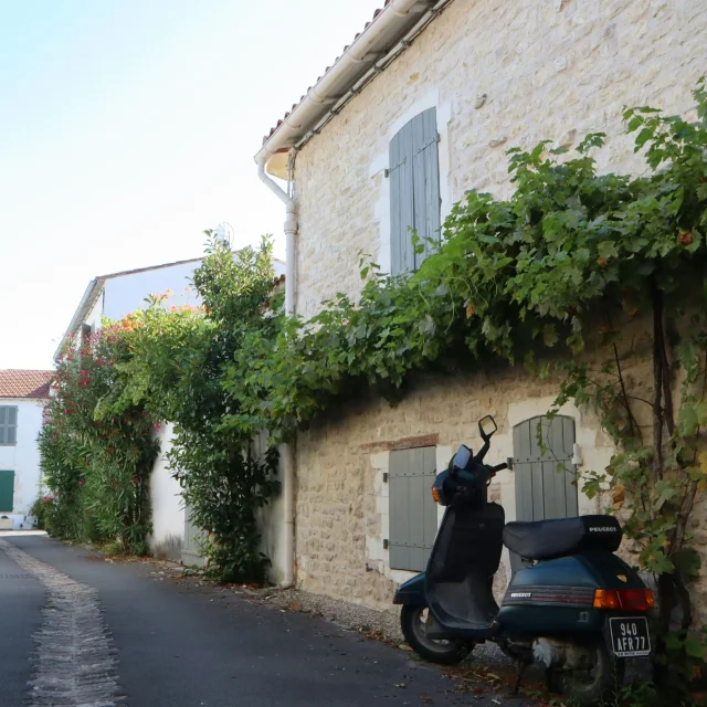 Rue avec maison en pierre, végétation et un scooter Peugeot garé.