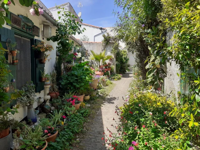 Ruelle Des Jardins La Flotte Mathieu Beaulieu Didr