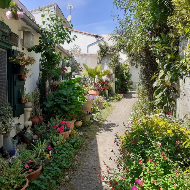 Ruelle fleurie des Jardins à La Flotte sur l'île de Ré