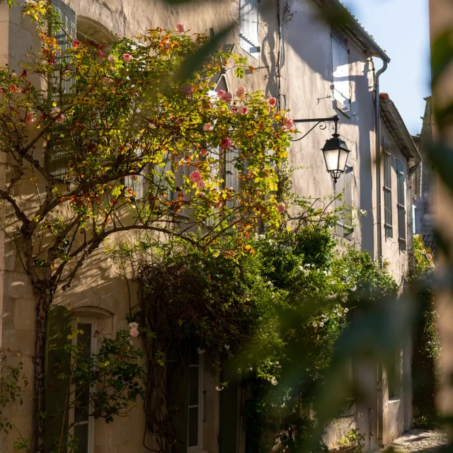 Rue bordée de maisons avec des plantes grimpantes et un réverbère.