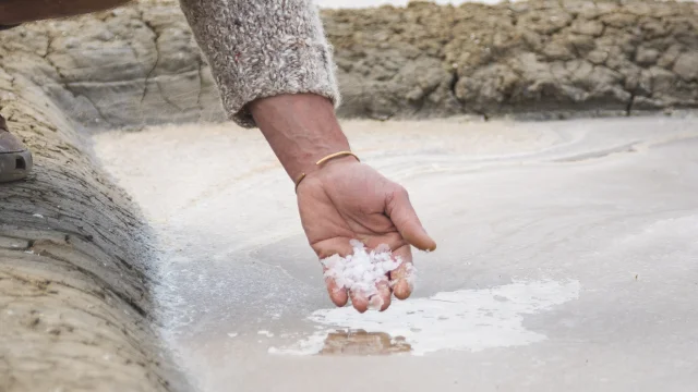 Récolte du sel à la main à la Couarde-sur-Mer