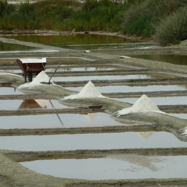 Marais salants avec monticules de sel