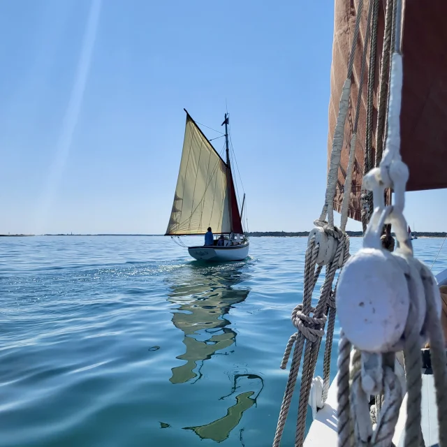 Un voilier naviguant sur une mer calme de l'île de Ré sous un ciel bleu.