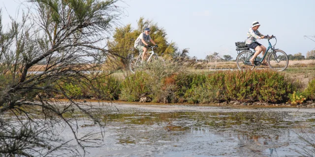 Cyclistes traversant les marais salants de l'île de Ré