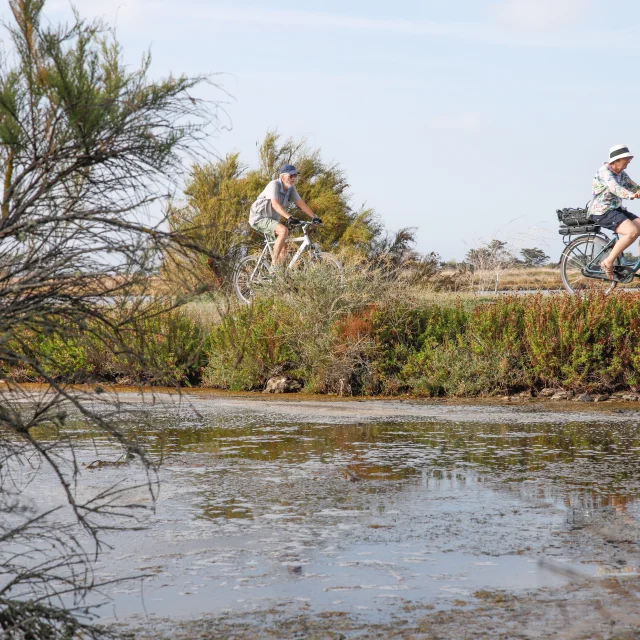 Cyclistes traversant les marais salants de l'île de Ré