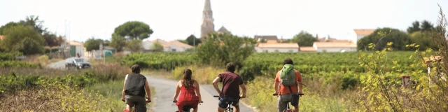 Groupe de cyclistes traversant des vignes à Sainte-Marie-de-Ré.