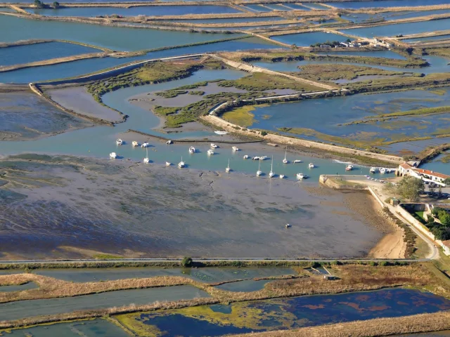 Vue aérienne des marais salants de Loix sur l'île de Ré