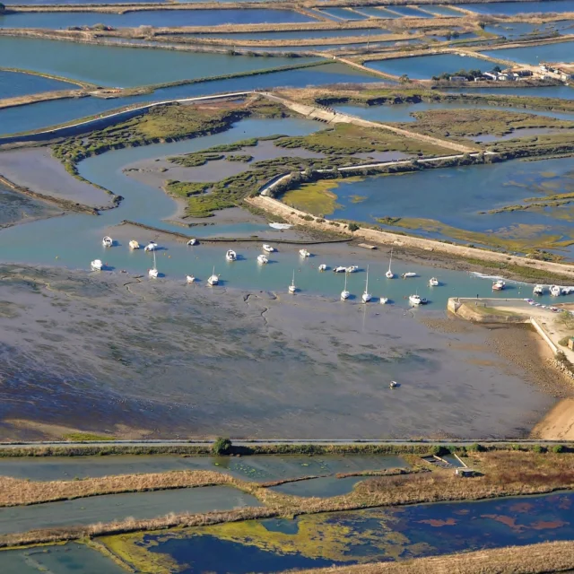 Vue aérienne des marais salants de Loix sur l'île de Ré