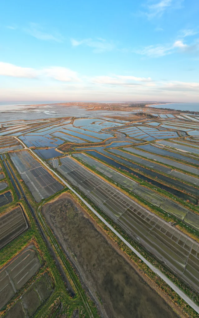 Vue aérienne des marais salants d'Ars-en-Ré, montrant les bassins de sel.