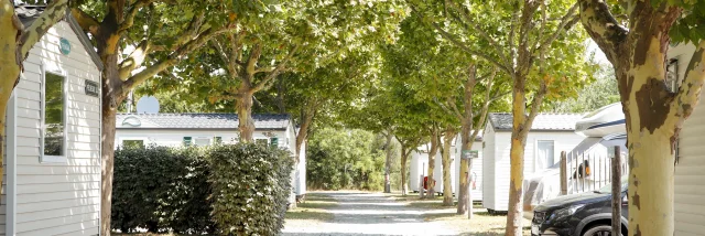 Allée bordée de mobile-homes sous des arbres au Camping Le Puma