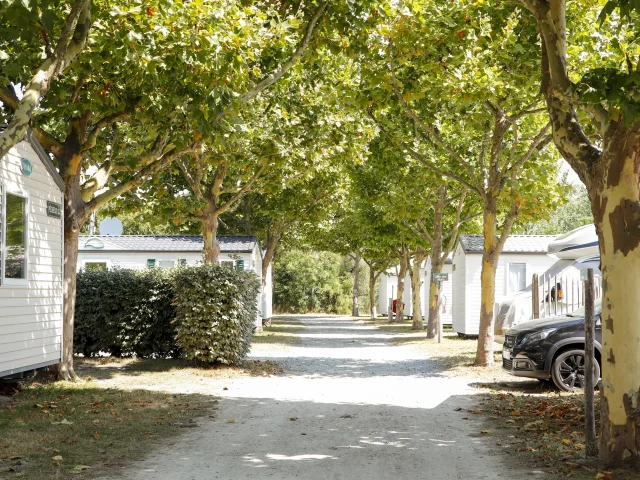 Allée bordée de mobile-homes sous des arbres au Camping Le Puma