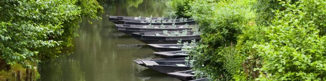 Canaux du Marais poitevin avec des barques prêtes à naviguer.